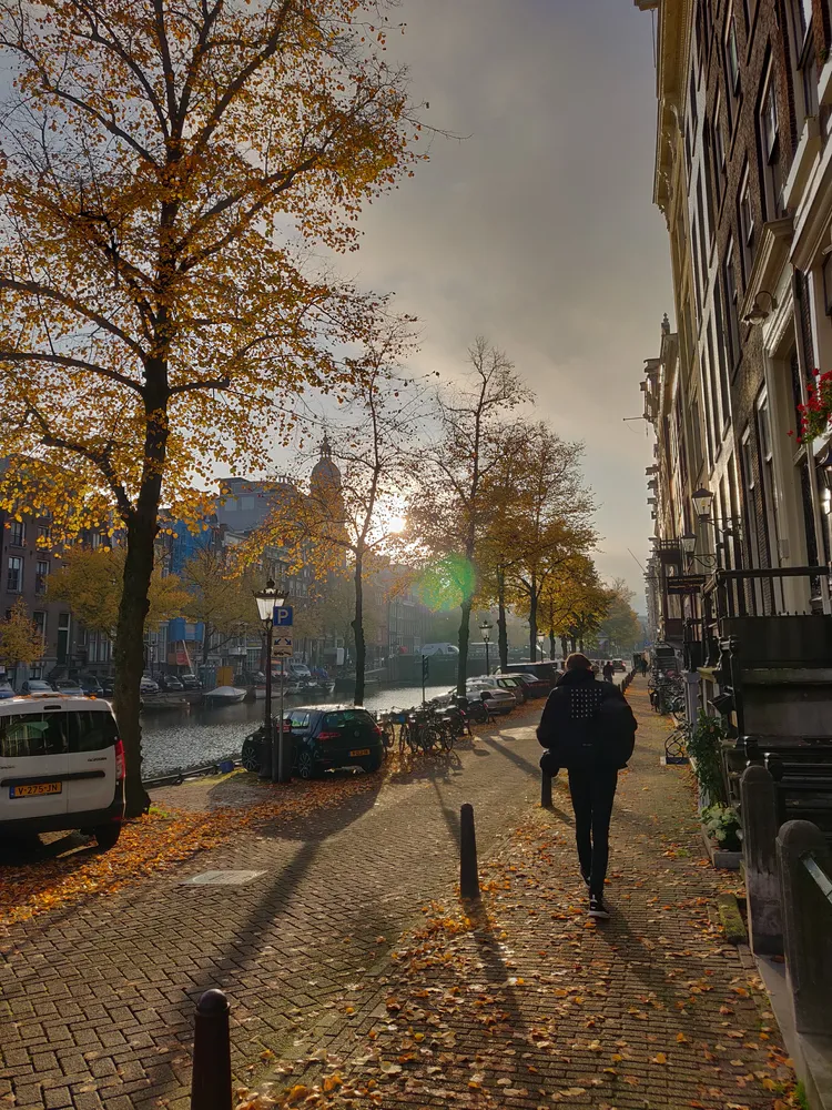 Low autumn sun down an Amsterdam canal, a walker silhouetted on a pavement of fallen leaves