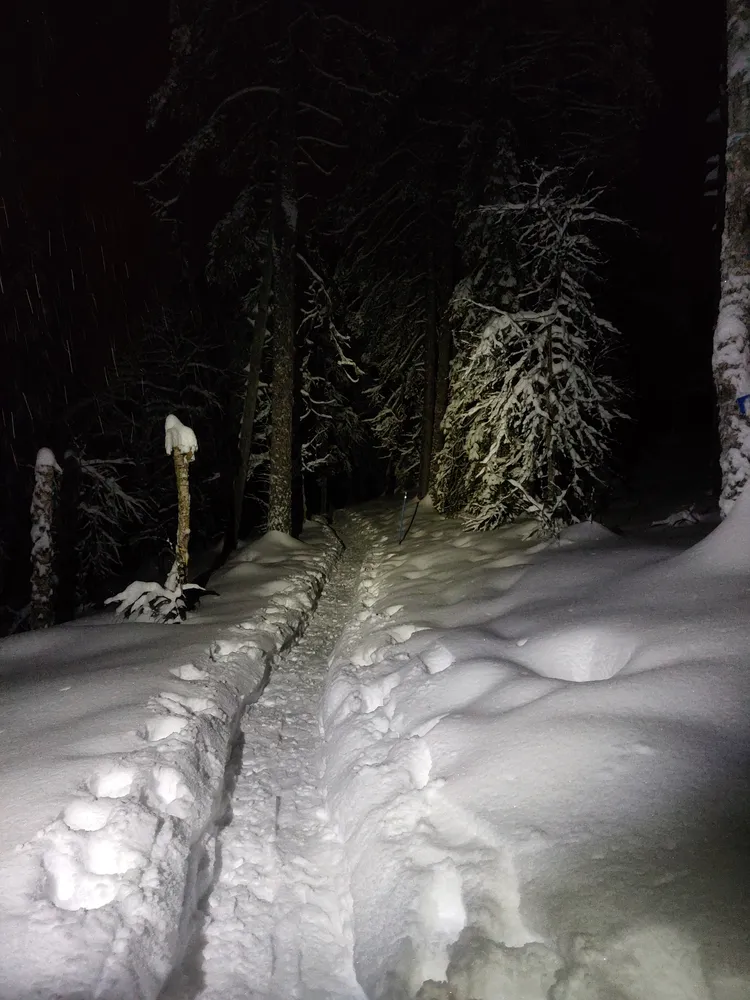 A narrow trodden path through deep snow in a forest at night